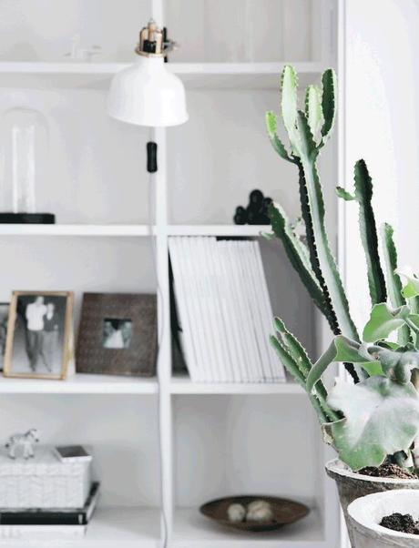 DECORAR EN NEGRO Y GANAR EN LUZ