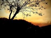 Dime presumes... Momentos