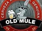 Mule