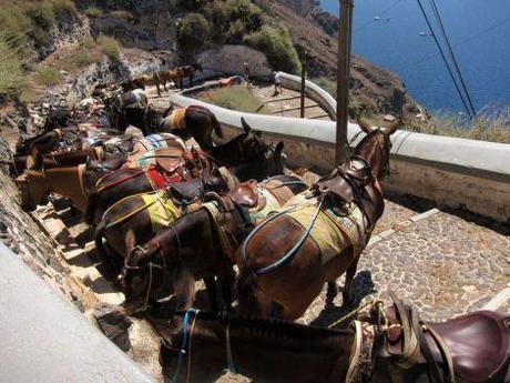 Grecia en 20 días: Día 9 – Oia y excursión en barco al volcán. Grecia-dia9-