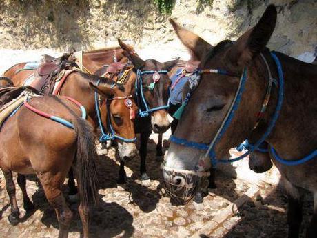 Grecia en 20 días: Día 9 – Oia y excursión en barco al volcán. Grecia-dia9-