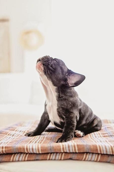 San Viernes contando un cuento