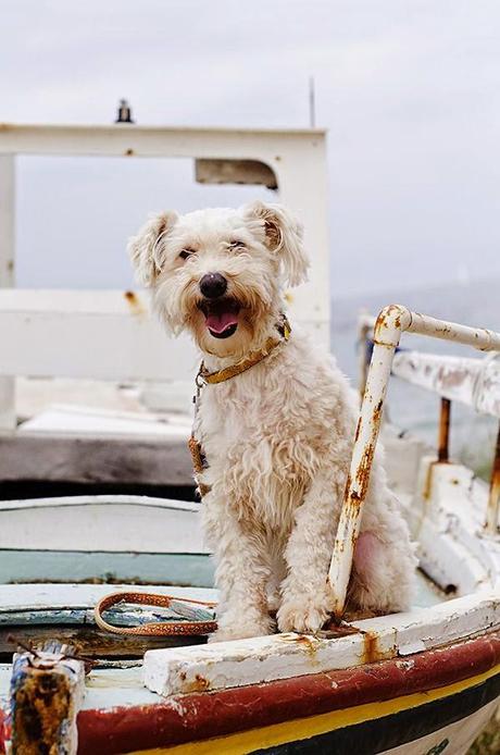 San Viernes contando un cuento