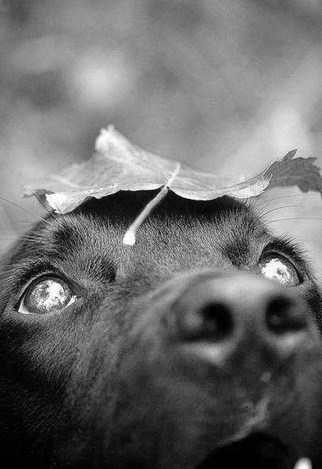 San Viernes contando un cuento