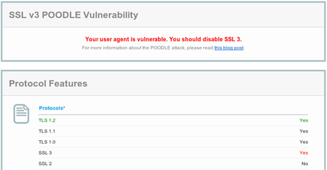 Poodle: otra grave vulnerabilidad al descubierto