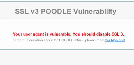 Poodle: otra grave vulnerabilidad al descubierto