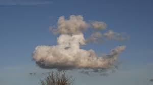 Nube