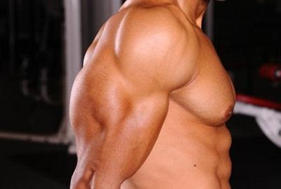 Consigue volumen en tus brazos: El Triceps