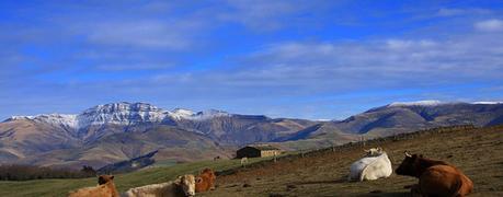 Los puertos de acceso a la Meseta desde la Cordillera Cantábrica: El Puerto de la Matanela por La Sota.