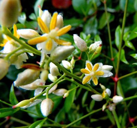 Seguimos con flores, vida y alegría en este pedacito de paraíso.