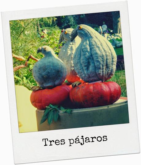 LUDWIGSBURG Y LA FIESTA DE LA CALABAZA.