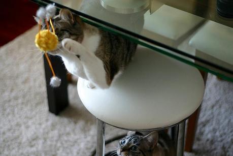 cata & toñita_26_20140313 - Version 2