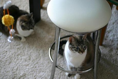 cata & toñita_24_20140313 - Version 2