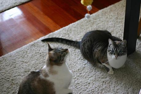 cata & toñita_15_20140313 - Version 2+