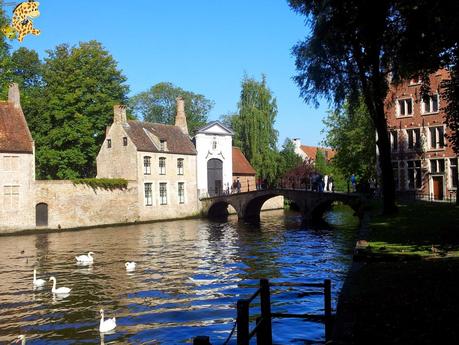 Qué ver en Bélgica? - Brujas