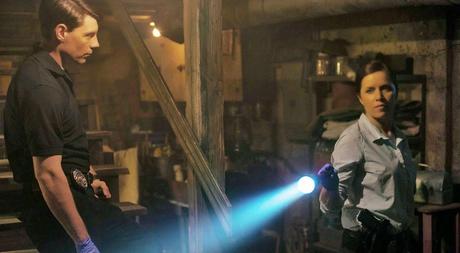 CRÍTICA GONE GIRL (2.014), POR ALBERT GRAELLS