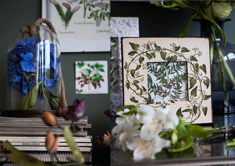 BOTANICA EN LA DECORACIÓN: TENDENCIA EN AUGE