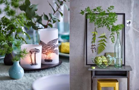 BOTANICA EN LA DECORACIÓN: TENDENCIA EN AUGE