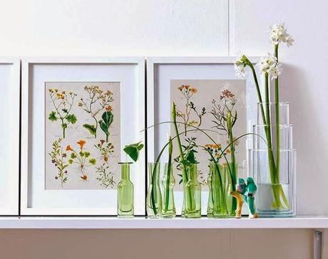 BOTANICA EN LA DECORACIÓN: TENDENCIA EN AUGE