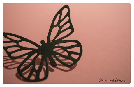 ¡Mi regalo de cumpleaños!