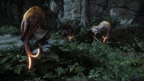 Avance Evolve Evolve_2014_04-13-14_003