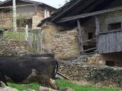 puertos paso desde cordillera cantábrica hasta Meseta: Matanela Sota