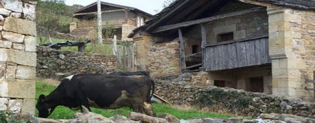Los puertos de paso desde la cordillera cantábrica hasta la Meseta: La Matanela por La Sota. Los puertos de paso desde la cordillera cantábrica hasta la Meseta: La Matanela por La Sota.