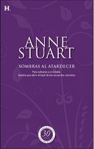 Zona de Intercambio Sombras al atardecer