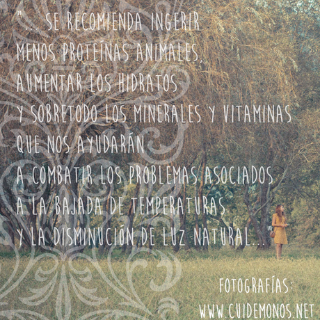 La mejor dieta para el otoño