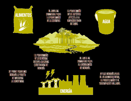 Informe Planeta Vivo. Alimentación WWF Informe Planeta Vivo. Alimentación WWF