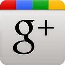 Tutorial básico Google +