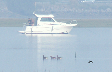 PRIMEROS INDICIOS DE LA INVERNADA