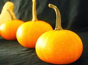 Rollo calabaza, ruibarbo mascarpone