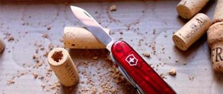 Reciclar tapones de corcho en mini macetas iman 003 Reciclar tapones de corcho en mini macetas imán  reciclar tapones de corcho en mini macetas imán reciclar tapones de corcho mini macetas imanes reciclaje ideas para reciclar 