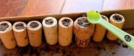 Reciclar tapones de corcho en mini macetas iman 004 Reciclar tapones de corcho en mini macetas imán  reciclar tapones de corcho en mini macetas imán reciclar tapones de corcho mini macetas imanes reciclaje ideas para reciclar 