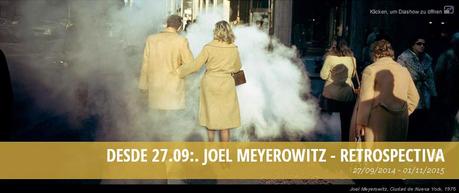 Meyerowitz sigue de fiesta