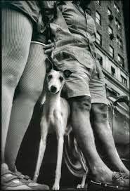 Dislocando la cadera