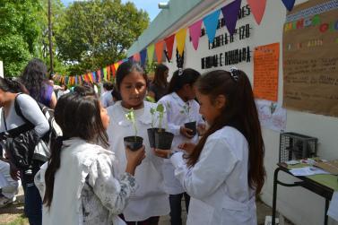 En defensa de la Semilla DSC_0202