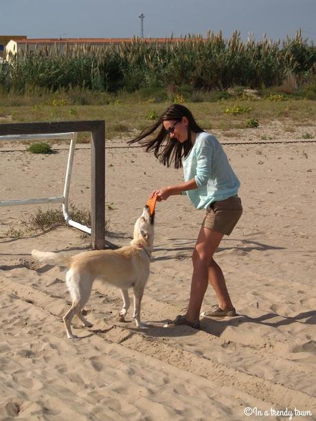 Outfit: Beach day Outfit Trini In a Trendy Town Beach
