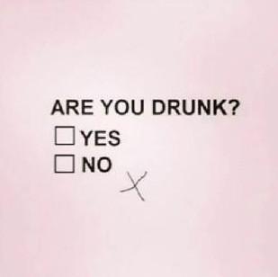 El alcoholismo estaría vinculado a la falta de bacterias intestinales El alcoholismo estaría vinculado a la falta de bacterias intestinales