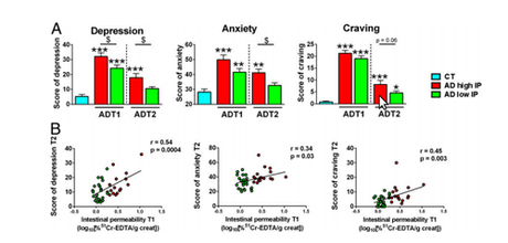 El alcoholismo estaría vinculado a la falta de bacterias intestinales El alcoholismo estaría vinculado a la falta de bacterias intestinales