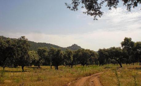 Colaboraciones de Extremadura, caminos de cultura: Castillo de Azagala, en Alburquerque, en Castillosnet