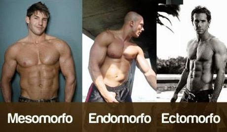 somatipo masculino, somatipo de hombre