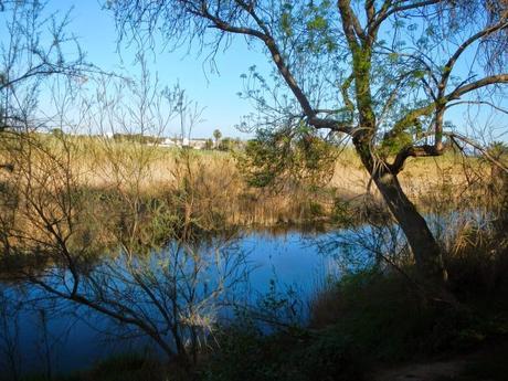 De Tarragona a Altafulla por la pedrera de El Mèdol