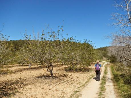 De Tarragona a Altafulla por la pedrera de El Mèdol