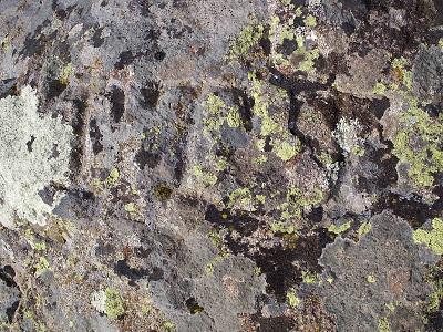 ¿Santuario rupestre de la Cabeza del Oso en el Real de San Vicente ?