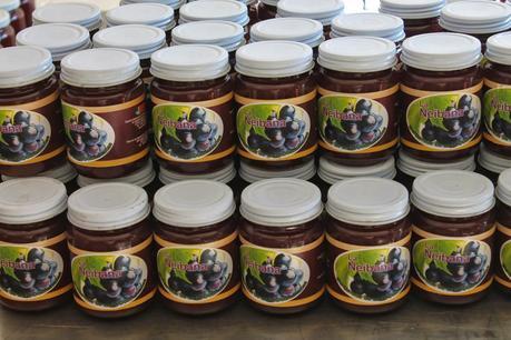 Cultivadores inician fábrica mermelada de uva La NEIBANA.