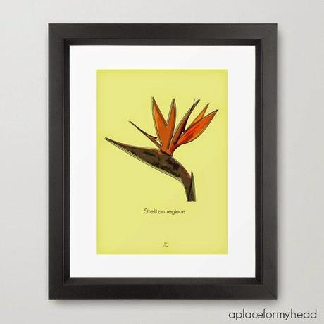 Freebie: lámina floral II