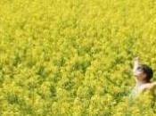 Dónde está Felicidad