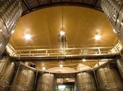 Campaña vendimia Ribera Duero